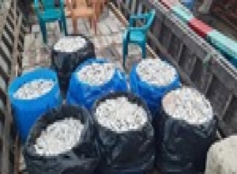 এক হজার দুইশত কেজি জাটকা জব্দ