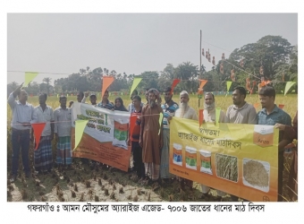 মশাখালি ইউনিয়নের বলদী গ্রামে মাঠ দিবস অনুষ্ঠিত হয়েছে