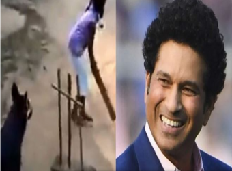 মুগ্ধ শচীন, কুকুরের ক্রিকেট খেলা দেখে