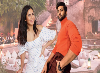 ভিকি-ক্যাটের প্রেমের শুরুর গল্প 