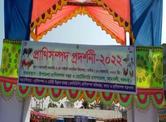 আমতলীতে  প্রাণিসম্পদ প্রদর্শনী অনুষ্ঠিত