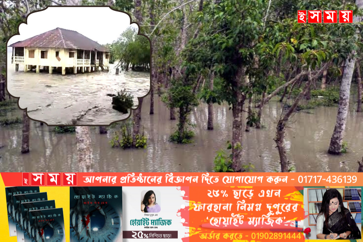পূর্ব-সুন্দরবনের নিম্নাঞ্চল প্লাবিত, উচু স্থানে আশ্রয় নিয়েছে বন্যপ্রাণী