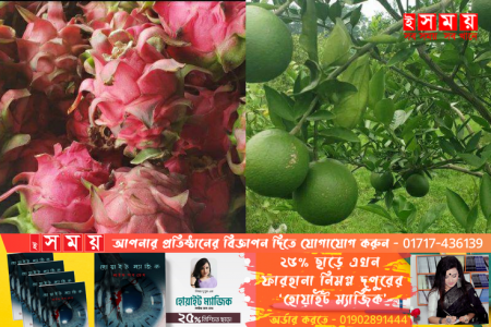  বগুড়ায় শখের বসে ড্রাগন,মাল্টা ও কমলা চাষ : এখন আয় ৬ লক্ষ টাকা