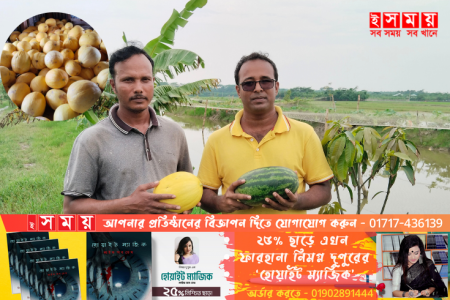 সৌদীর সাম্মাম ফলের চাষ এখন পাথরঘাটায়