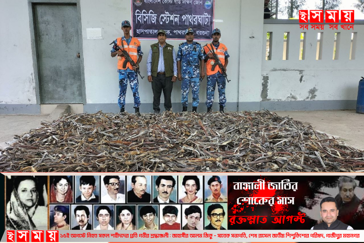 পাথরঘাটায় ৫ কোটি টাকা মূল্যের ২০ হাজার কেজি হাঙর জব্দ