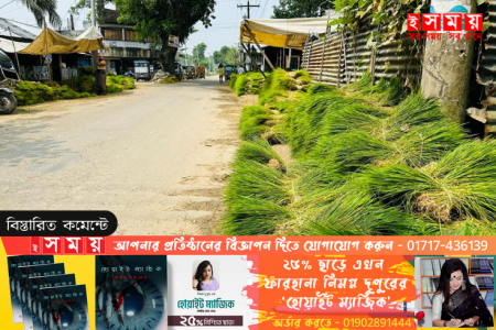 বানিয়াচংয়ে রোপা আমন ধানের চারা বিক্রির ধুম