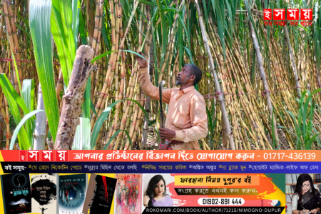 দীঘিনালায় আঁখ চাষে সফল ফজল মিয়া