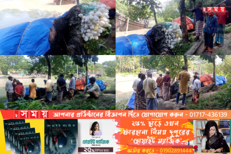 বরগুনায় দুর্বৃত্তদের আগুনে জেলের স্বপ্ন পুড়ে ছাই