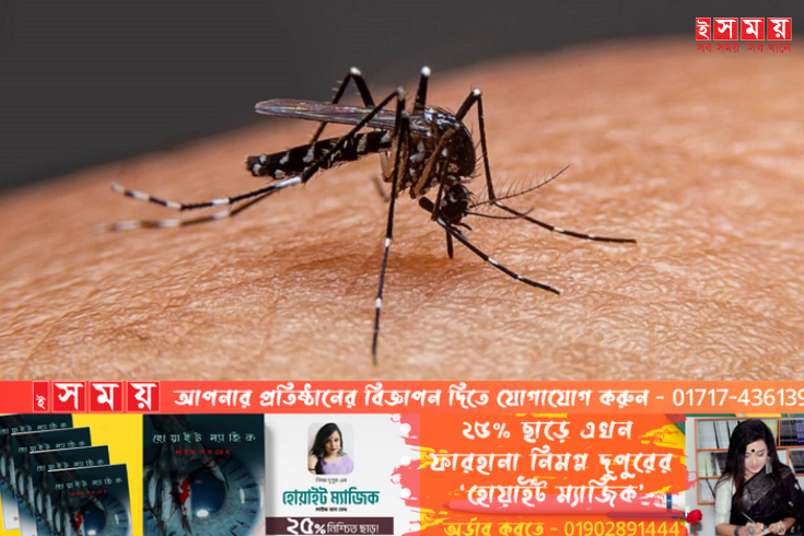 একদিনেই ডেঙ্গু কেড়ে নিলো ১৭ প্রাণ