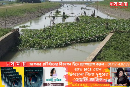 মদনে অবৈধভাবে সরকারি জলমহল ইজারা, নিচ্ছে না উপজেলা প্রশাসন কোন উদ্যোগ