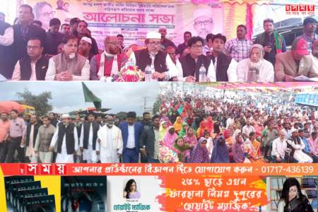 বড়াইগ্রামে নব নির্বাচিত সংসদ সদস্যকে গণ সংবর্ধনা