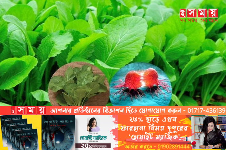 ক্যানসার প্রতিরোধ করে সরিষা শাক, জানুন খাওয়ার পদ্ধতি