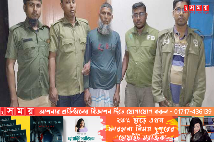 বন বিভাগের দেড় একর জমির গাছ কেটে পরিষ্কার, গ্রেফতার ১