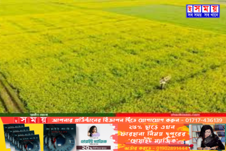 আবারো কমলো জমির রেজিস্ট্রেশন কর