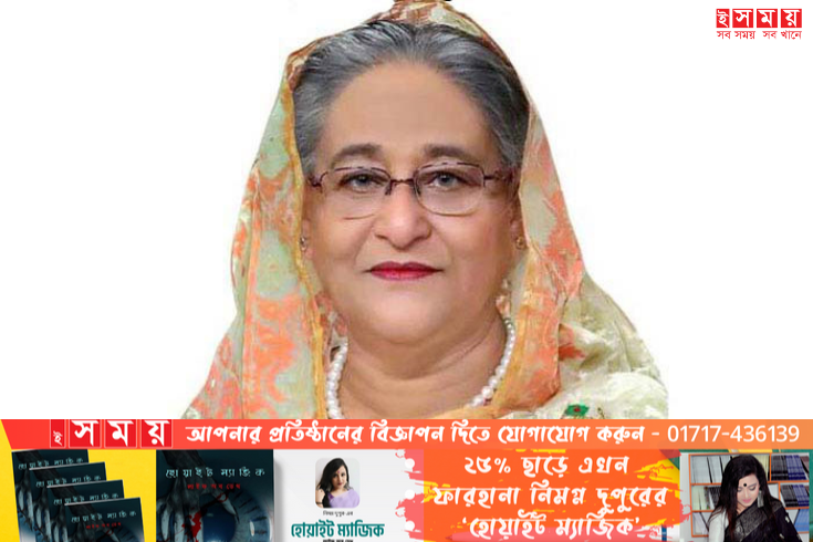 গণতন্ত্রের ভিত্তি শক্তিশালী করতে নিরলসভাবে কাজ করে যাচ্ছে সরকার: প্রধানমন্ত্রী