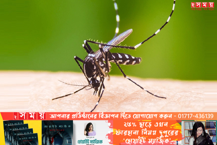 ডেঙ্গুতে আক্রান্ত হয়ে প্রাণ গেল আরও ২ জনের