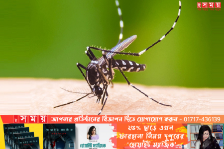 ডেঙ্গু কেড়ে নিলো আরও ৭ প্রাণ, ভর্তি ২৫১ জন