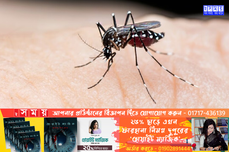 ডেঙ্গুতে আরও ৪ জনের মৃত্যু, হাসপাতালে ভর্তি ২৫৪