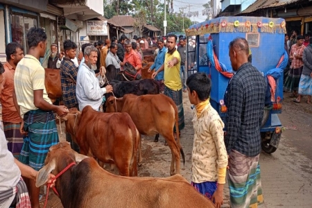 গরু-ছাগলের হাট বসে সড়ক বন্ধ করে 