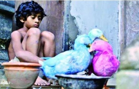 তরুণ নির্মাতাদের সমর্থনে মিলিয়ন ডলার পাওয়ার সুযোগ