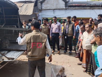 সাগরদাঁড়ী ঝুমুর মিনি চিড়িয়াখানা থেকে প্রাণী জব্দ