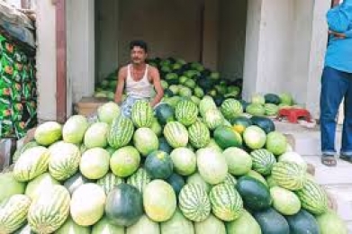 পিরোজপুরে তরমুজ বাজারে তীব্র ক্রেতা সংকট।