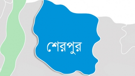 শেরপুরে পৃথক ঘটনায় দুই জনের মৃত্যু