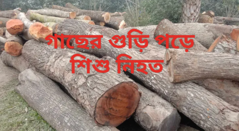 চৌগাছা গাছের গুড়িতে চাপা পরে  এক শিশুর মৃত্যু 