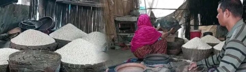 গ্রামবাংলার ঐতিহ্যবাহী হারিয়ে যাচ্ছে ঢেঁকি। 