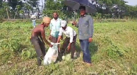তরমুজ চাষে লাভবান তরুণ উদ্যোক্তা আল আমিন ফকির 
