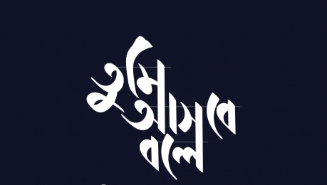 তুমি আসবে বলে