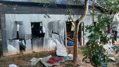 শেরপুরে বন্যহাতির ব্যাপক তান্ডব