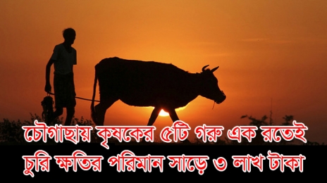 চৌগাছায় কৃষকের ৫টি গরু এক রতেই চুরি ক্ষতির পরিমান সাড়ে ৩ লাখ টাকা
