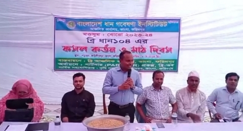 ফরিদপুরের ভাঙ্গায় ধান গবেষণা ইনষ্টিটিউটে ব্রি-ধান ১০৪ এর মাঠদিবস অনুষ্ঠিত 