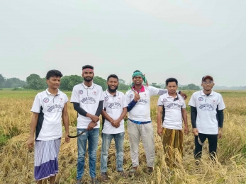 নড়িয়া উপজেলায় দরিদ্র কৃষকের ধান কেটে দিলো অগ্রযাত্রা ফাউন্ডেশন বাংলাদেশ এর সদস্যরা।