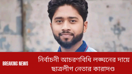 নির্বাচনের আচরণ বিধি লঙ্ঘনের দায়ে কারাদণ্ড ছাত্রলীগ নেতার।