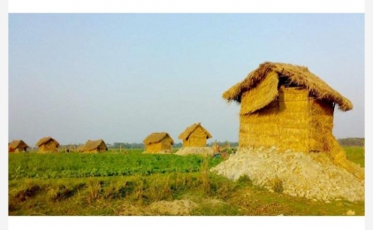 গ্রামাঞ্চলের হারিয়ে যাচ্ছে কুঁড়েঘর। 