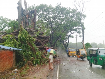 ঘূর্ণিঝড় রিমালের প্রভাবে চৌগাছায় উঠতি ফসলের ক্ষতি হওয়ার শঙ্কা