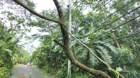 ৭২ ঘন্টা বিদ্যুৎবিহীন নলছিটি,বিশুদ্ধ পানির হাহাকার, অনেক চাপকলেও উঠছে না পানি। 
