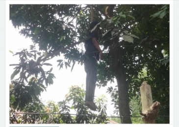মায়ের কাছে নেশার টাকা না পেয়ে ছেলের আত্মহত্যা। 