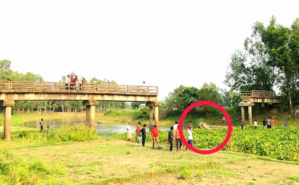 গোপালপুরে কচুরিপানার চাপে ভেঙ্গে গেল ব্রিজ!