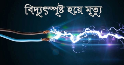 বকশীগঞ্জে বিদ্যুৎস্পৃষ্ট হয়ে রেজেনা বেগম (৪২) নামে এক নারীর মৃত্যু