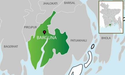 তালতলীতে আওয়ামীলীগ নেতার ছেলের কান্ড এক নারীর কান ছিড়ে গহনা লুট।