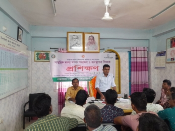 হাতিয়ায় 