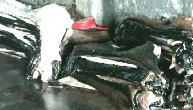নাটোরে ডিসির প্রশংসনীয় উদ্যোগ 