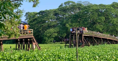 বরগুনার আমতলীতে ব্রিজ ভেঙে যাত্রীবাহী মাইক্রোবাস খালে পড়ে ৯ জন নিহত! 