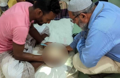রাসেলস ভাইপারকে লাথি, ছোবল খেয়ে হাসপাতালে যুবক