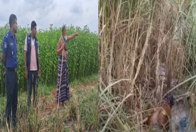 ফরিদপুরের ভাঙ্গায় অজ্ঞত এক নারীর অর্ধগলিত লাশ উদ্ধার 