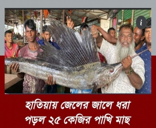 নোয়াখালীর দ্বীপ উপজেলা হাতিয়ার মেঘনা নদীতে জেলের জালে ধরা পড়েছে ২৫ কেজি ওজনের একটি পাখি মাছ। ডাকের মাধ্যমে মাছটি ৩ হাজার ৯০০ টাকায় বিক্রি করা হয়। 