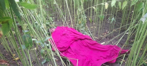 ফরিদপুরের ভাঙ্গায় পাটক্ষেত থেকে কিশোরীর লাশ উদ্ধার